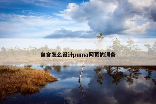 包含怎么设计puma网页的词条