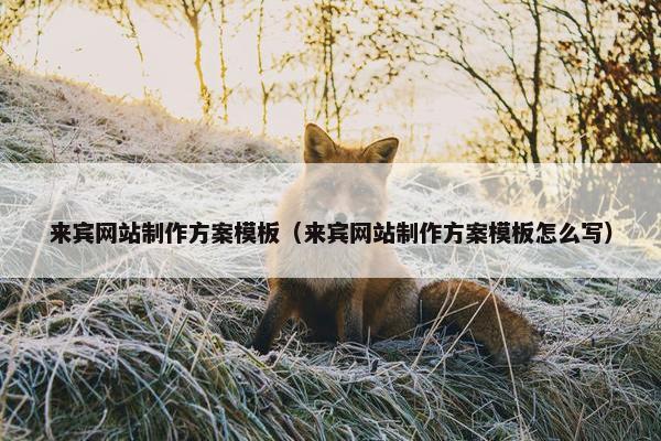 来宾网站制作方案模板（来宾网站制作方案模板怎么写）