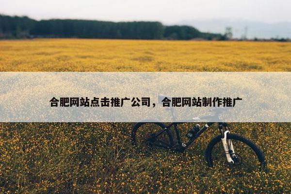 合肥网站点击推广公司，合肥网站制作推广