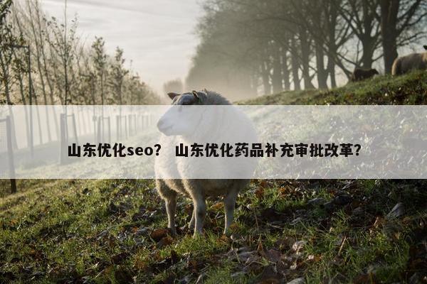 山东优化seo？ 山东优化药品补充审批改革？