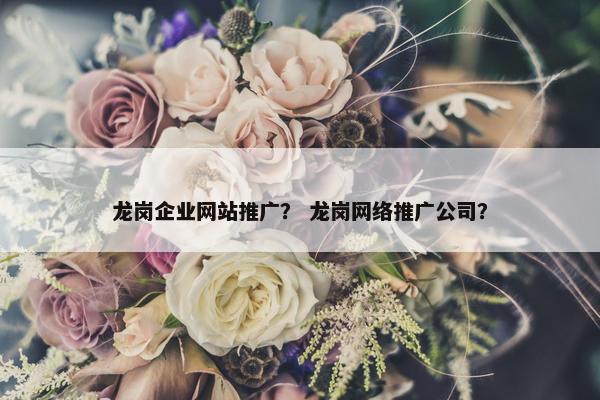 龙岗企业网站推广？ 龙岗网络推广公司？