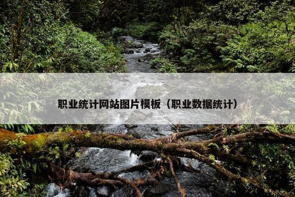 职业统计网站图片模板（职业数据统计）
