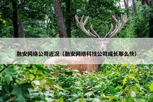 融安网络公司近况（融安网络科技公司成长那么快）