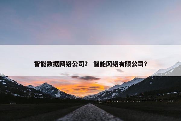 智能数据网络公司？ 智能网络有限公司？