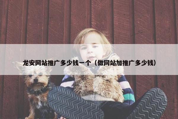 龙安网站推广多少钱一个（做网站加推广多少钱）
