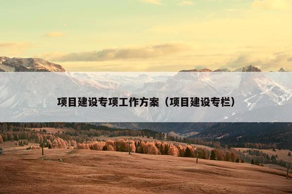 项目建设专项工作方案（项目建设专栏）