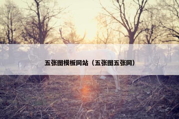五张图模板网站（五张图五张网）