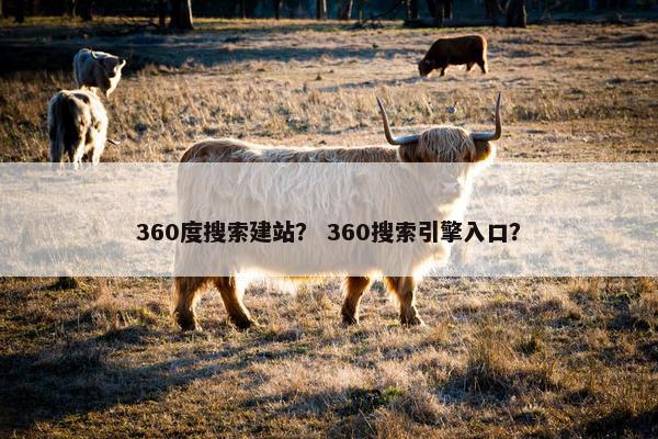 360度搜索建站？ 360搜索引擎入口？