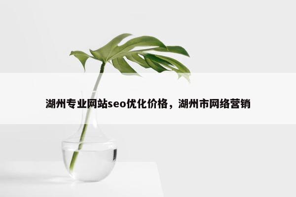 湖州专业网站seo优化价格，湖州市网络营销