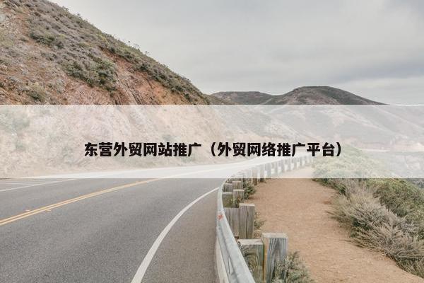 东营外贸网站推广（外贸网络推广平台）