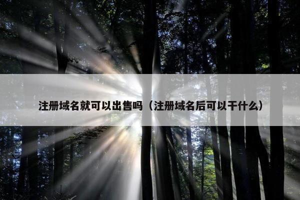 注册域名就可以出售吗（注册域名后可以干什么）