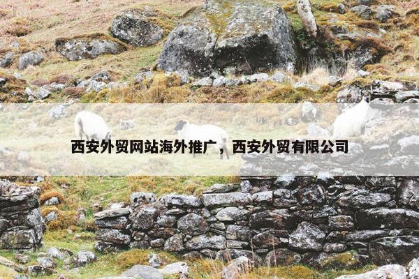西安外贸网站海外推广，西安外贸有限公司