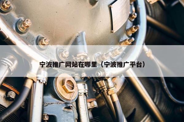 宁波推广网站在哪里（宁波推广平台）