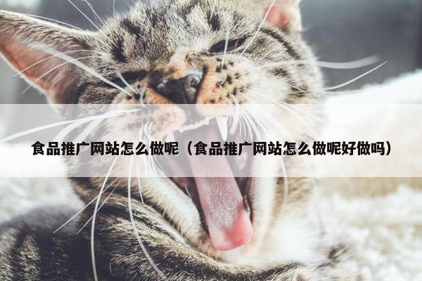 食品推广网站怎么做呢（食品推广网站怎么做呢好做吗）
