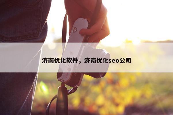 济南优化软件，济南优化seo公司