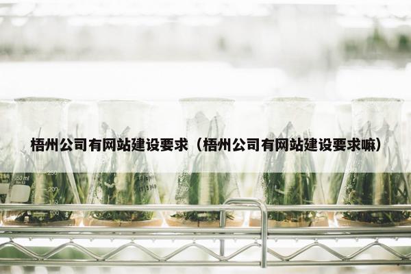 梧州公司有网站建设要求（梧州公司有网站建设要求嘛）
