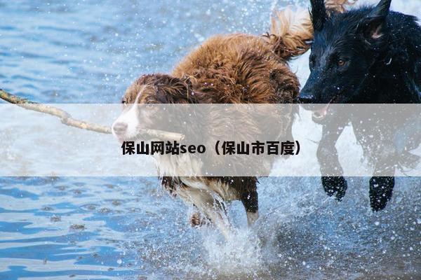 保山网站seo（保山市百度）