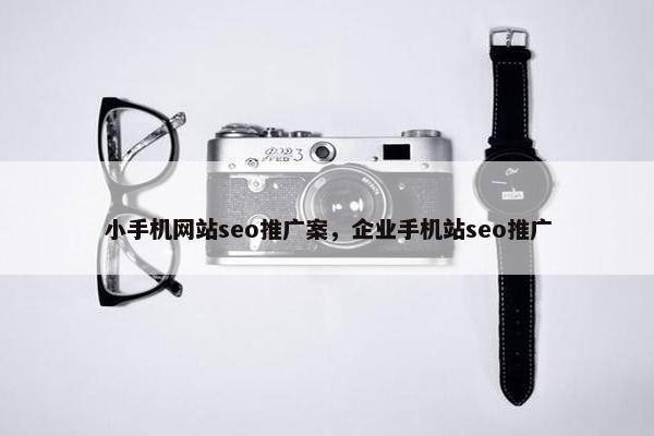 小手机网站seo推广案，企业手机站seo推广