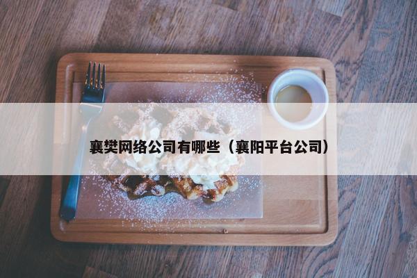 襄樊网络公司有哪些（襄阳平台公司）
