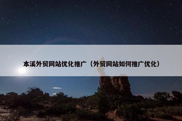 本溪外贸网站优化推广（外贸网站如何推广优化）