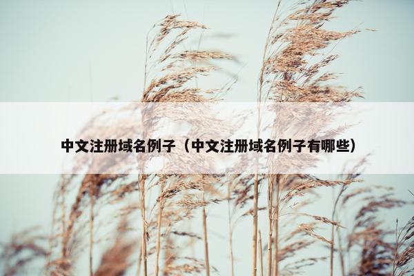 中文注册域名例子（中文注册域名例子有哪些）