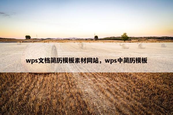 wps文档简历模板素材网站，wps中简历模板