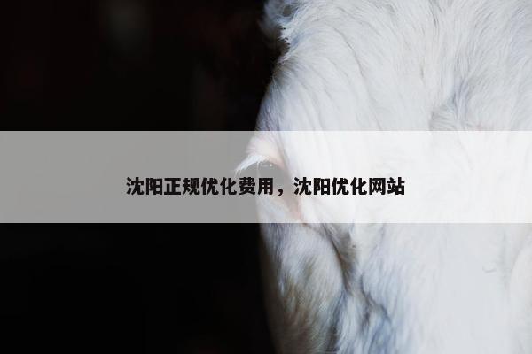 沈阳正规优化费用，沈阳优化网站