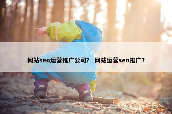 网站seo运营推广公司？ 网站运营seo推广？