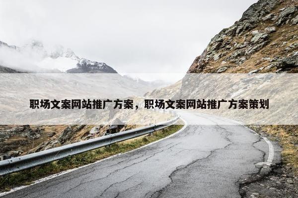 职场文案网站推广方案，职场文案网站推广方案策划