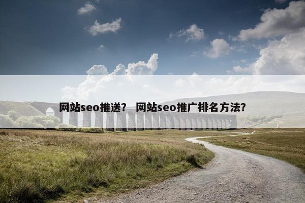 网站seo推送？ 网站seo推广排名方法？