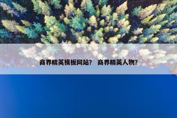 商界精英模板网站？ 商界精英人物？