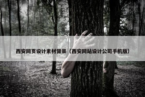 西安网页设计素材背景（西安网站设计公司手机版）