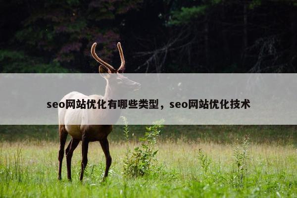 seo网站优化有哪些类型，seo网站优化技术