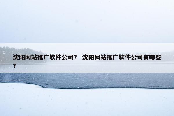 沈阳网站推广软件公司？ 沈阳网站推广软件公司有哪些？