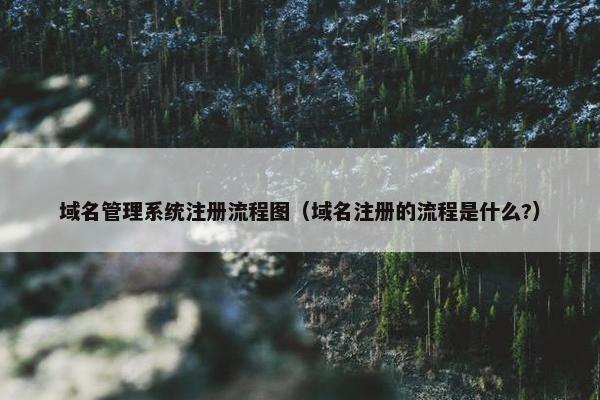 域名管理系统注册流程图（域名注册的流程是什么?）
