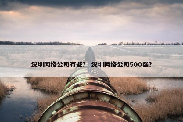 深圳网络公司有些？ 深圳网络公司500强？
