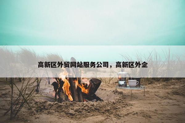 高新区外贸网站服务公司，高新区外企
