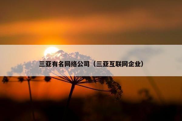 三亚有名网络公司（三亚互联网企业）
