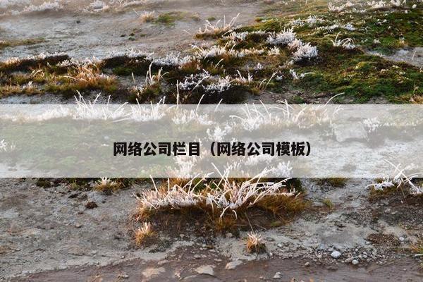 网络公司栏目（网络公司模板）