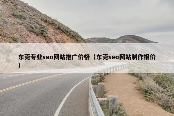 东莞专业seo网站推广价格（东莞seo网站制作报价）