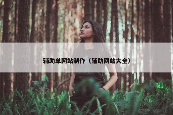 辅助单网站制作（辅助网站大全）