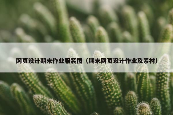 网页设计期末作业服装图（期末网页设计作业及素材）