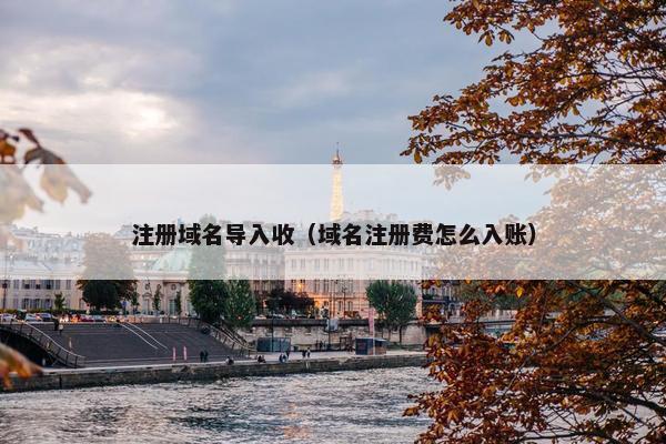 注册域名导入收（域名注册费怎么入账）
