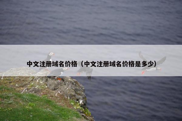 中文注册域名价格（中文注册域名价格是多少）