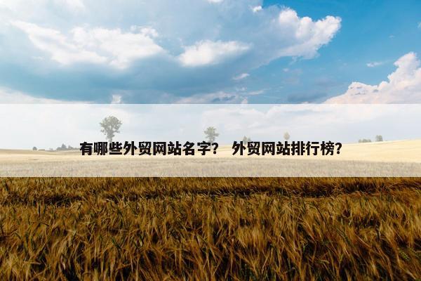 有哪些外贸网站名字？ 外贸网站排行榜？