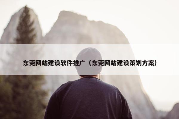 东莞网站建设软件推广（东莞网站建设策划方案）