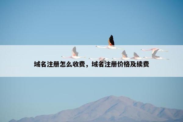 域名注册怎么收费，域名注册价格及续费