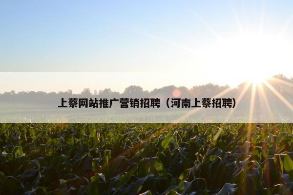 上蔡网站推广营销招聘（河南上蔡招聘）