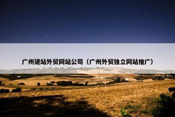 广州建站外贸网站公司（广州外贸独立网站推广）