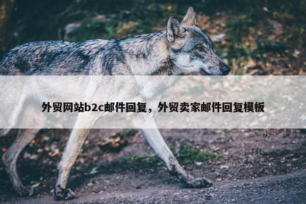 外贸网站b2c邮件回复，外贸卖家邮件回复模板
